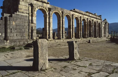 Basilica, AD 217